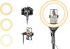 Best Ring Lights & Content Creator Gear in 2026: 3 Top Picks Compared